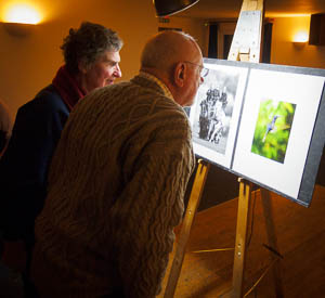 Members inspecting the pictures