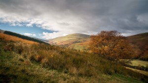 The Cheviot by Martin Tomes LRPS