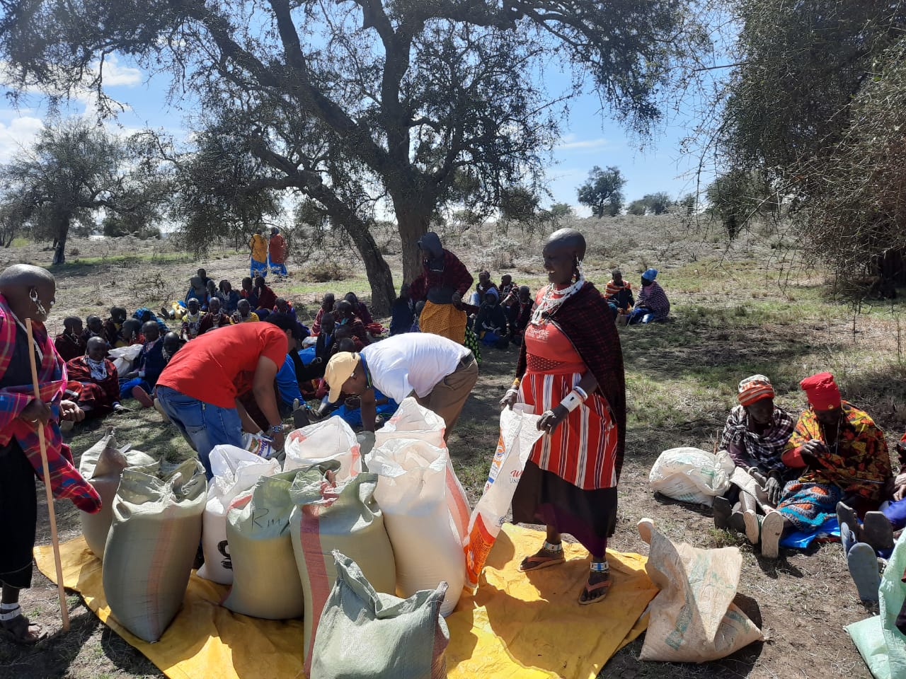 The attached image shows African Flame emergency food distribution in A Maasai Community during the current drought in East Africa, taken last month by Musa