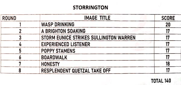 SCC Results