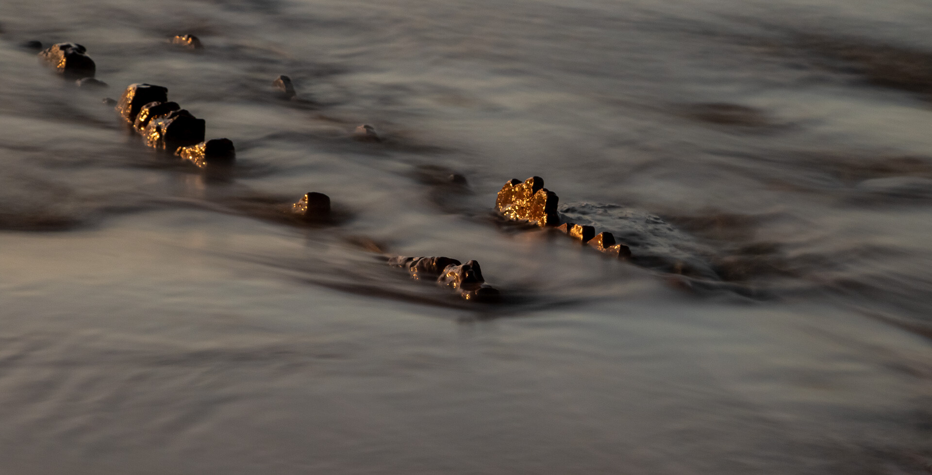 Crocodile Teeth by Janet Brown LRPS