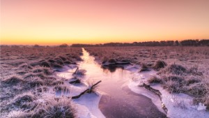 Cold Glow by Alex Swyer