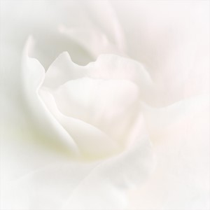 Gentle Curves by Liz Barber LRPS