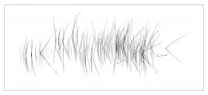 Reeds by Liz Barber