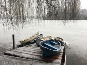 Spring is coming, Herastrau Lake, Bucharest by Ruth Rusby