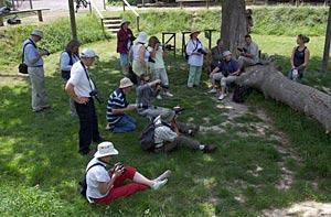 The group at work