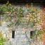 Amberley Castle Wall