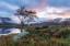 Dawn At Eryi National Park by Alex Swyer